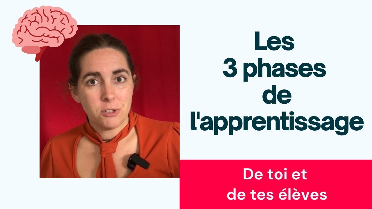 Les 3 phases de l'apprentissage